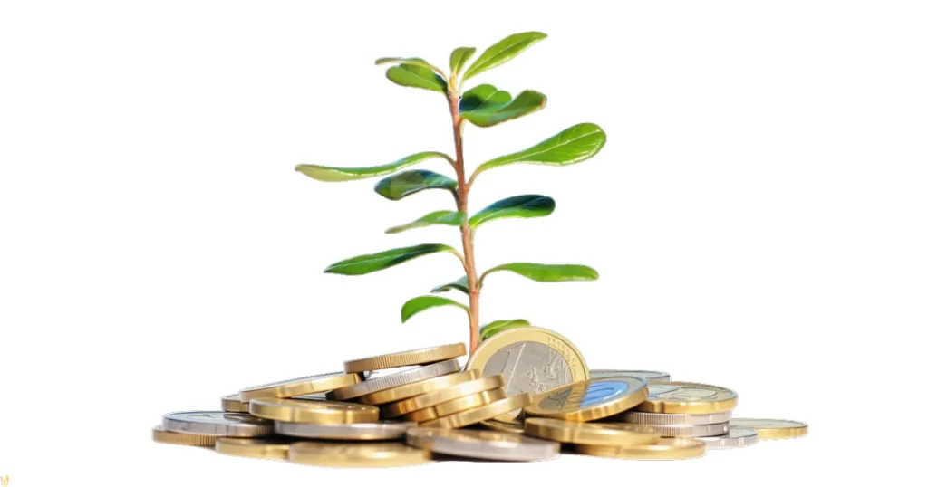 Qual investimento pode fazer mais sentido para iniciantes