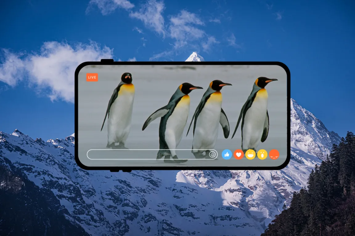 Iceberg rescue salve os animais em aventuras congeladas